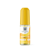 BAR JUICE 5000 10ML NIC SALT ENERGY ICE (10)